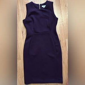 Calvin Klein size 6 eggplant purple formal bodycon dress, gold zipper